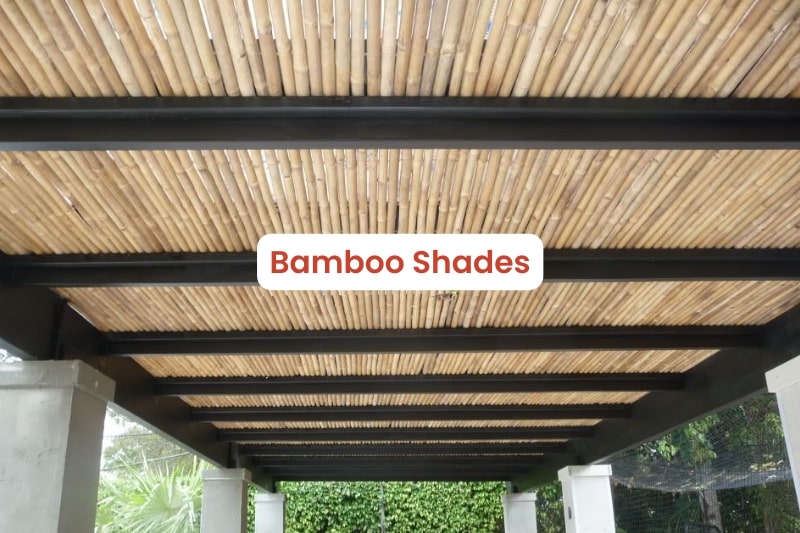 Bamboo Shades