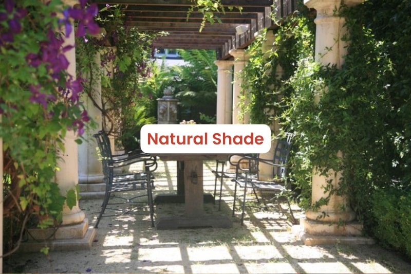 Natural Shade