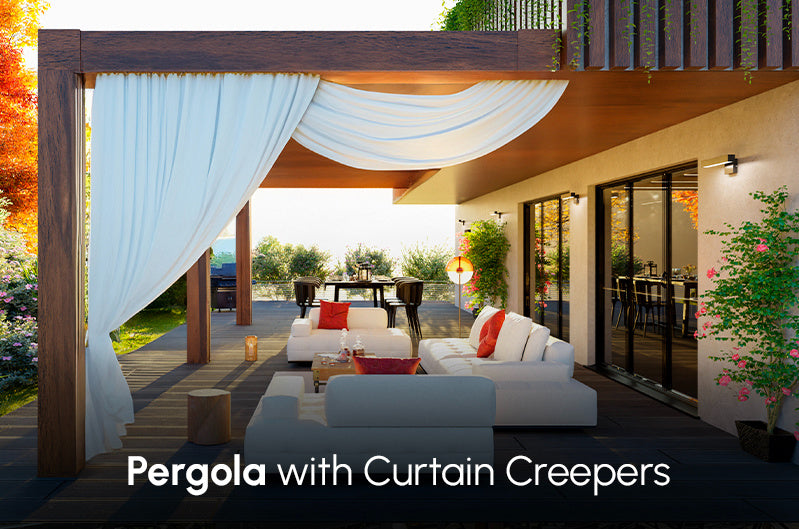 Pergola with Curtain Creepers