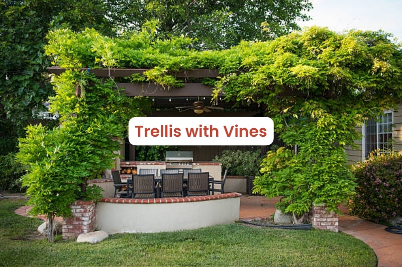 Trellis with Vines